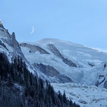 Apartment Cosy, Vue Mont Blanc, Plein Centre *