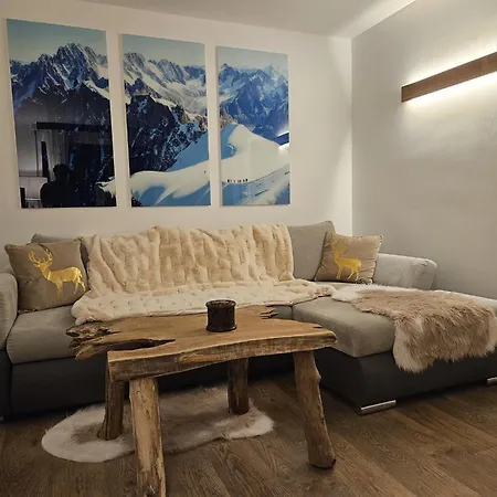 公寓 Cosy, Vue Mont Blanc, Plein Centre 霞慕尼